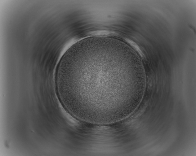 X0000091861475200709121320