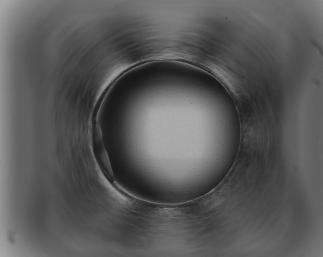 X0000091861476200709121320