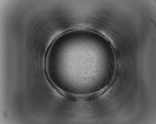 X0000091861477200709121320