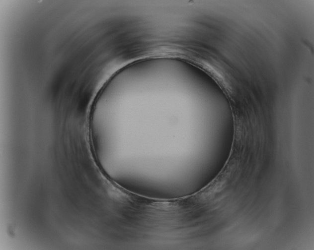 X0000091861478200709121320