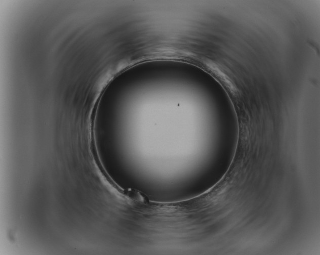 X0000091861479200709121320