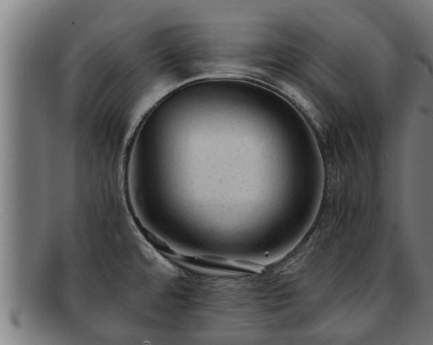 X0000091861480200709121320