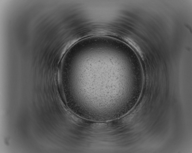 X0000091861481200709121320