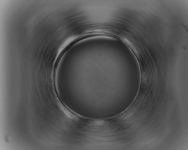 X0000091861482200709121320