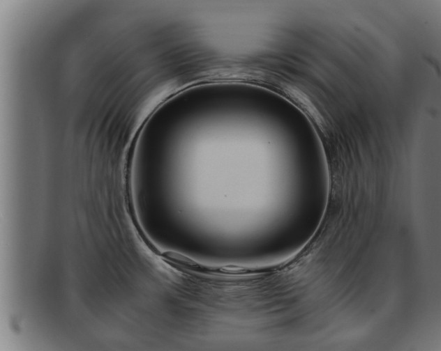 X0000091861483200709121320