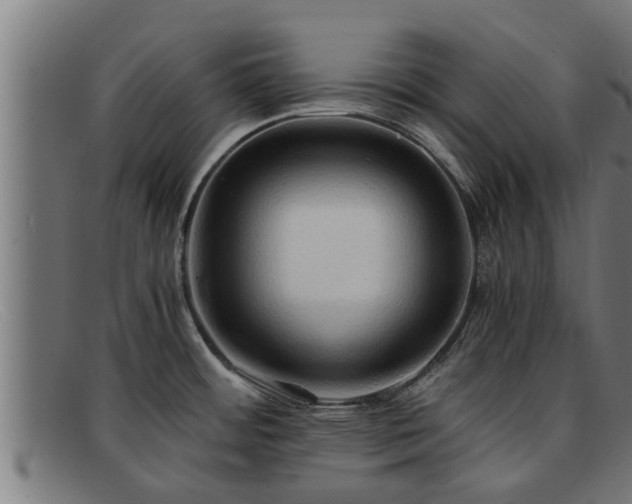 X0000091861484200709121320