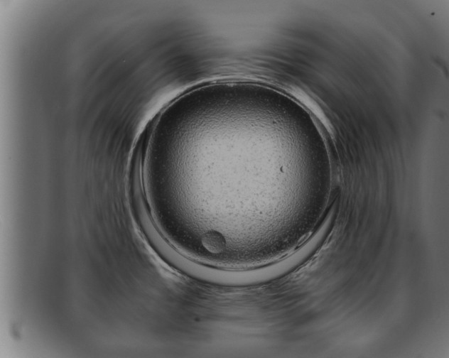 X0000091861485200709121320