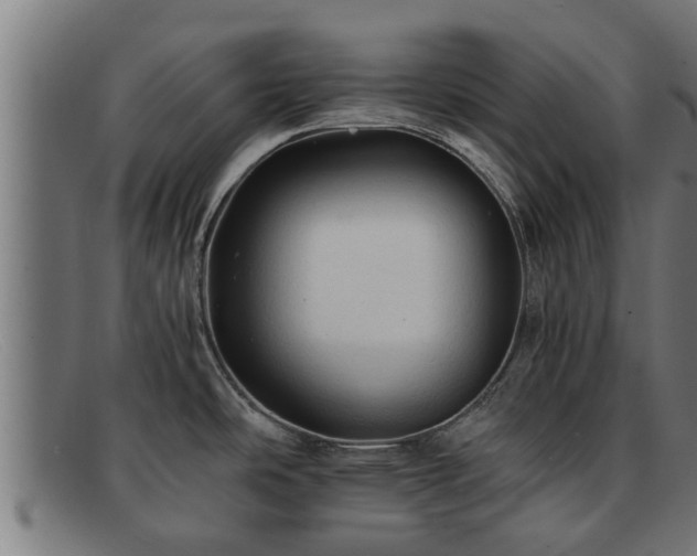 X0000091861486200709121320