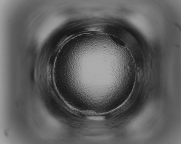 X0000091861487200709121320