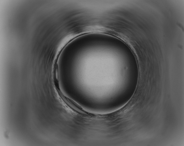 X0000091861488200709121320