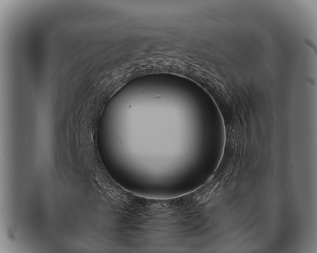 X0000091861489200709121319