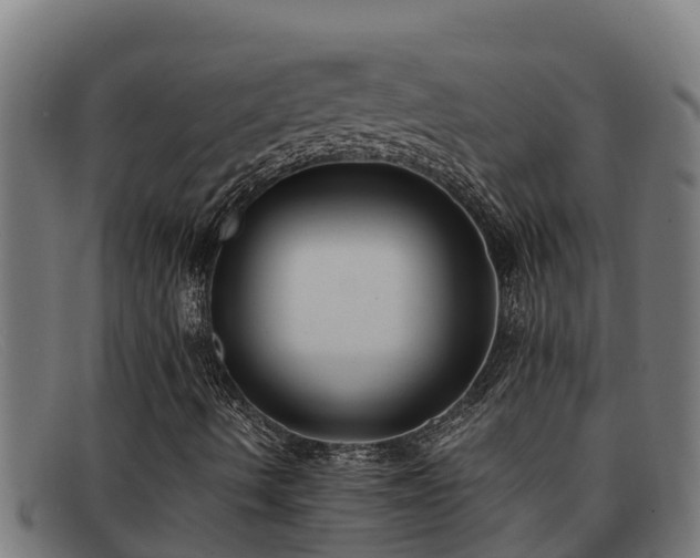 X0000091861490200709121320