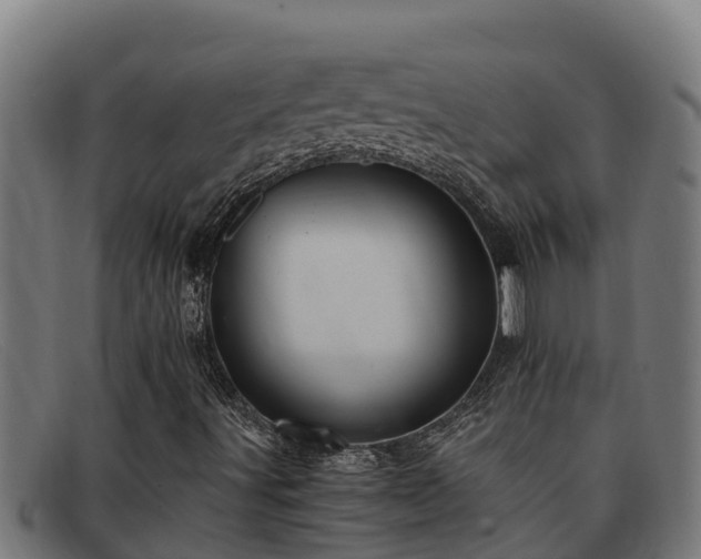 X0000091861491200709121320