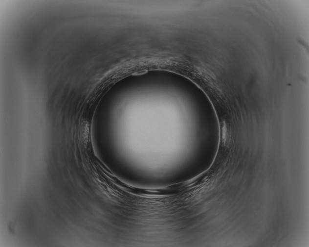 X0000091861492200709121320