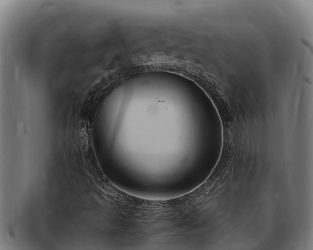 X0000091861493200709121320