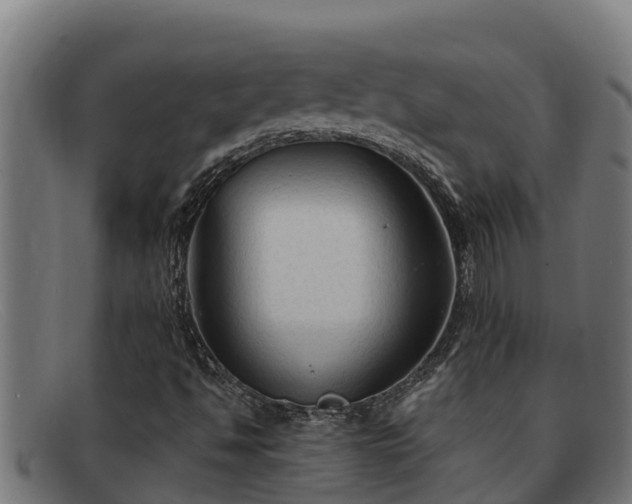 X0000091861494200709121320