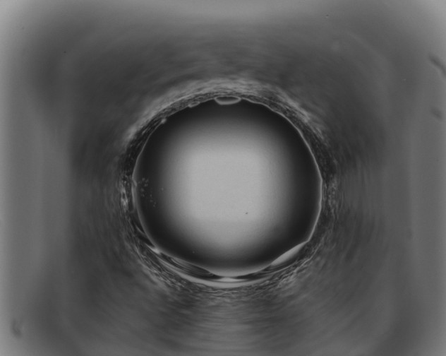 X0000091861496200709121320