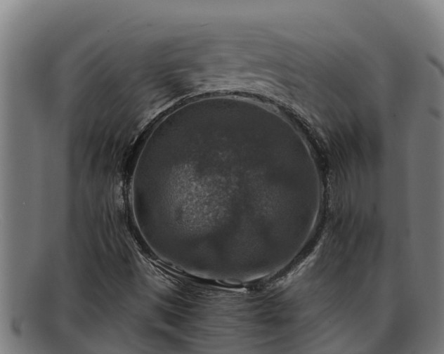 X0000091861497200709121320