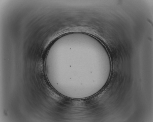 X0000091861498200709121320