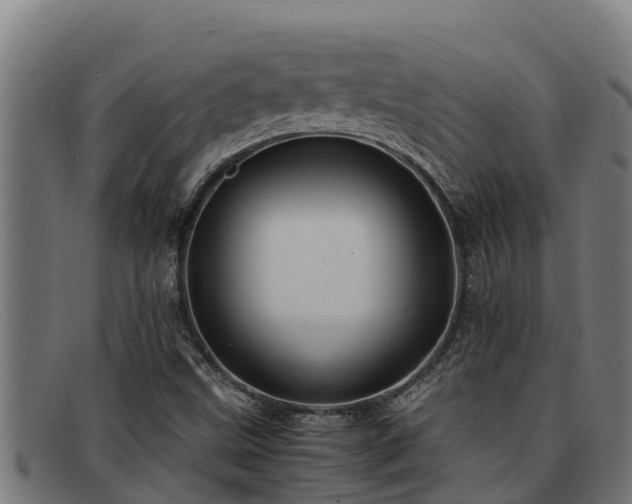 X0000091861499200709121320