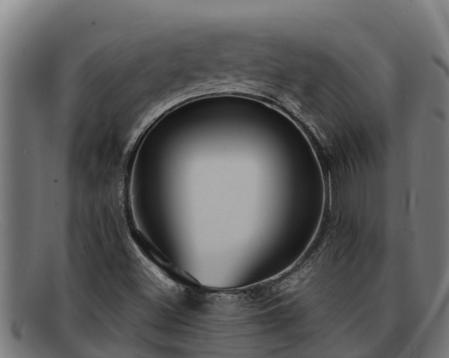 X0000091861500200709121320