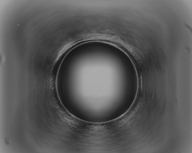 X0000091861501200709121320