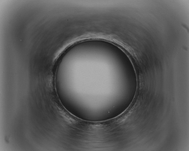 X0000091861502200709121320