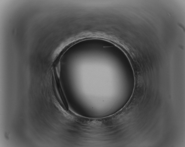 X0000091861503200709121320