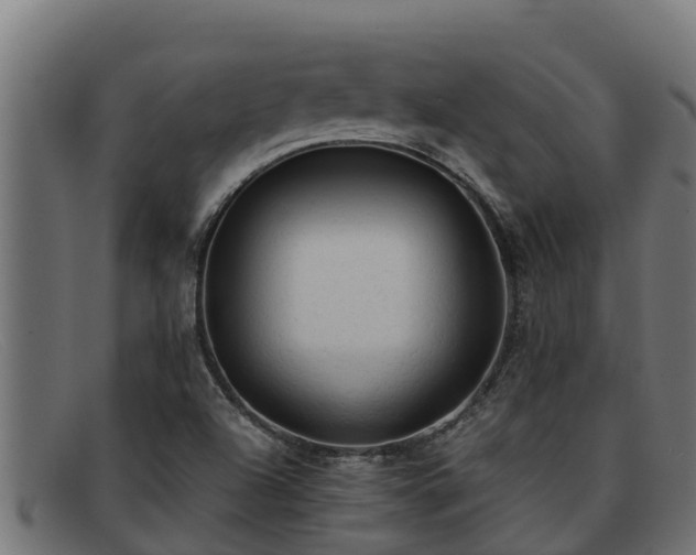 X0000091861504200709121320