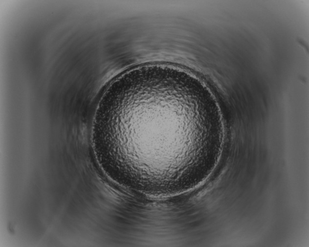 X0000091861505200709121320