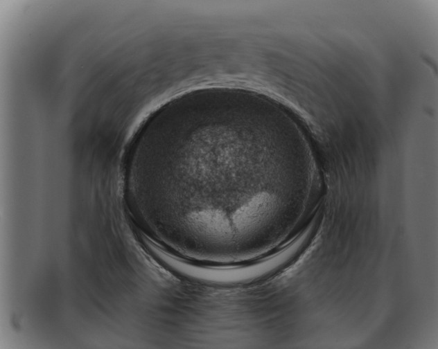 X0000091861506200709121320