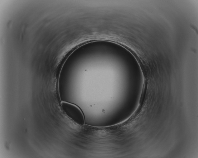 X0000091861507200709121320