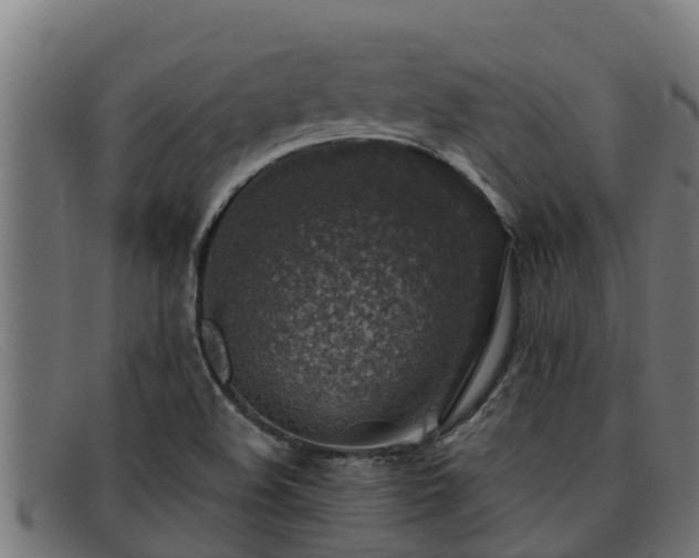 X0000091861508200709121320