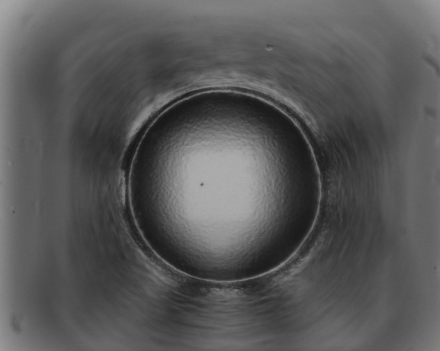 X0000091861509200709121320