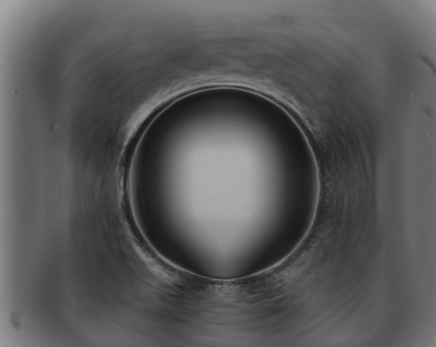 X0000091861511200709121320