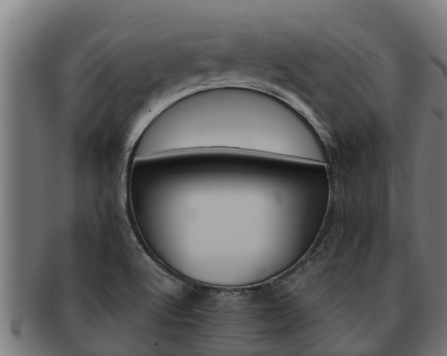 X0000091861512200709121320