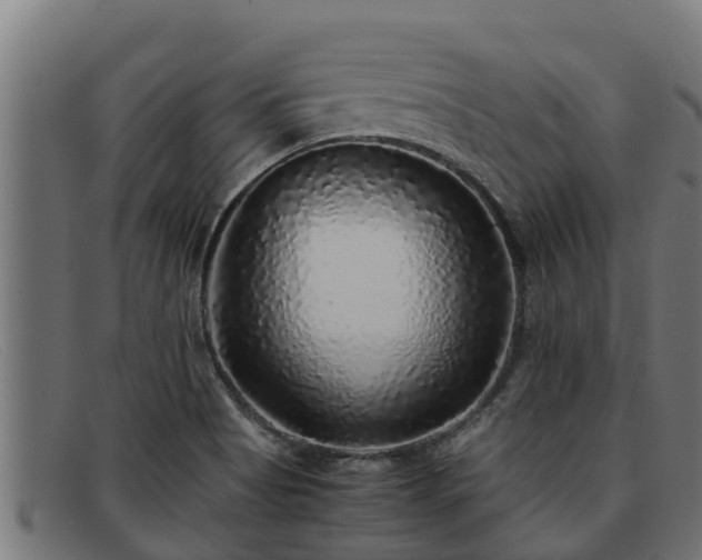 X0000091861513200709121320