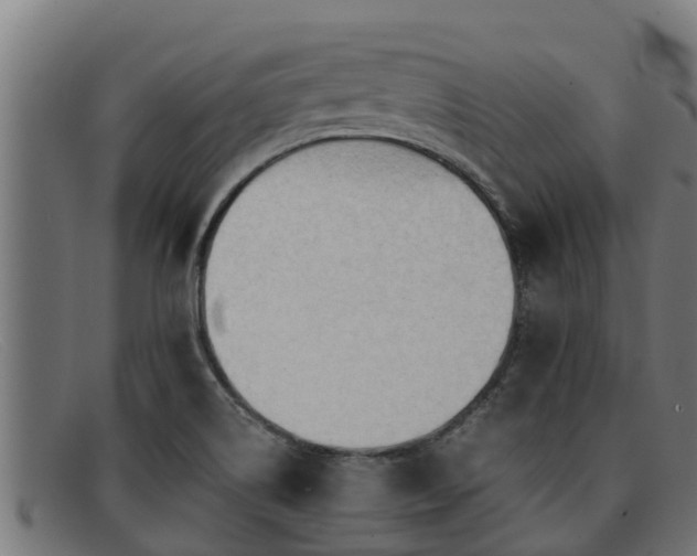 X0000091861514200709121320