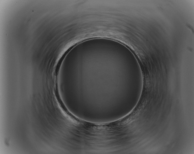 X0000091861515200709121320