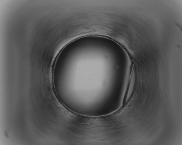 X0000091861516200709121320