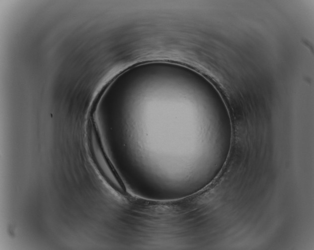 X0000091861517200709121320