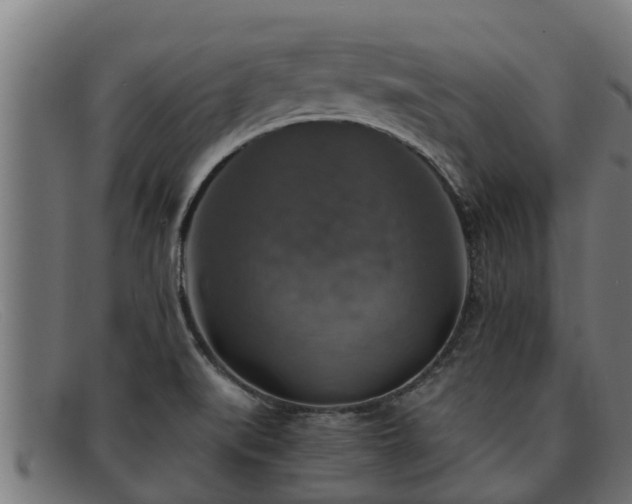 X0000091861519200709121320