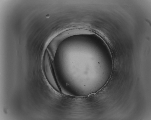 X0000091861520200709121320