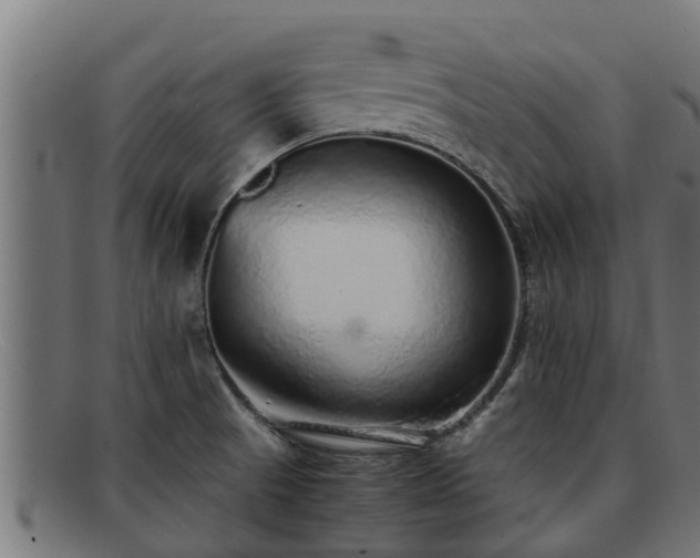 X0000091861521200709121320