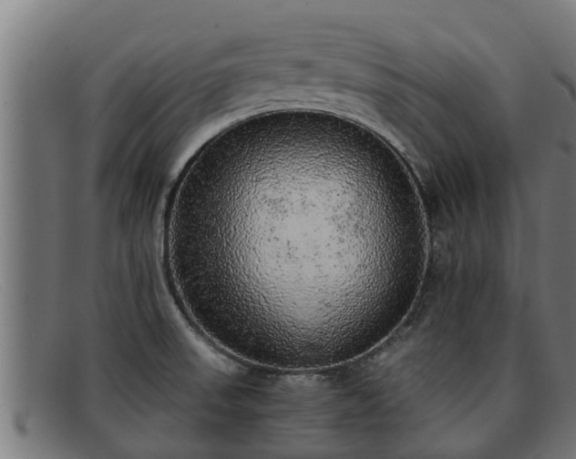 X0000091861523200709121320