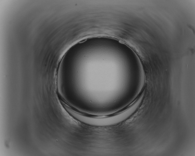 X0000091861524200709121320