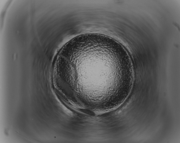 X0000091861525200709121320