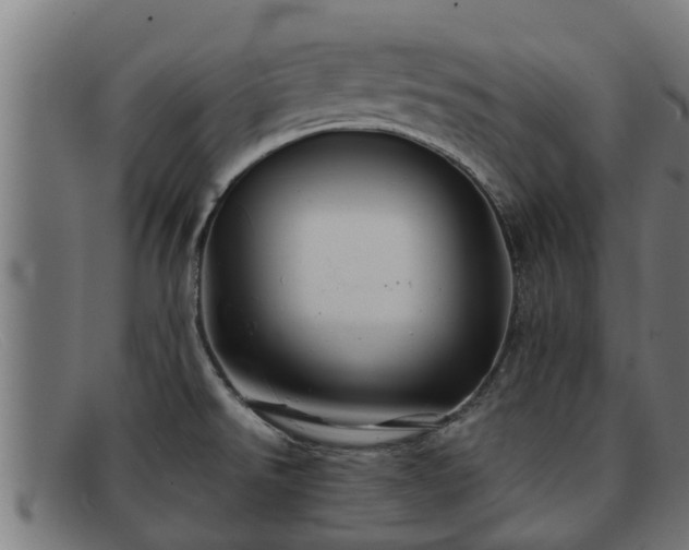 X0000091861526200709121320