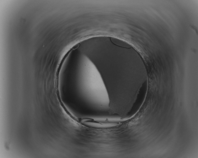 X0000091861527200709121320