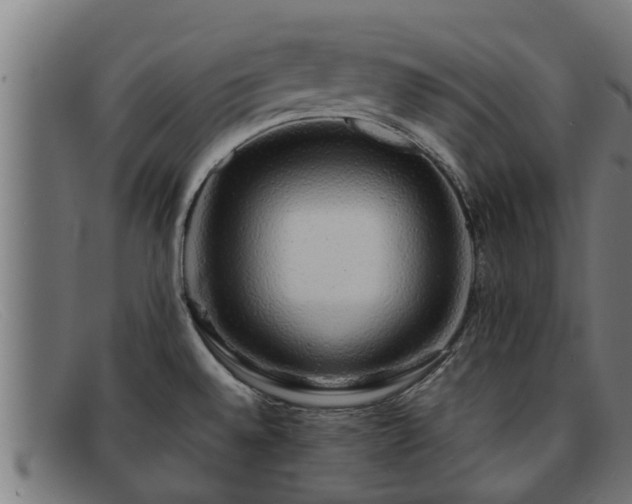 X0000091861528200709121320